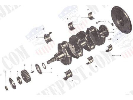 VILEBREQUIN MOTEUR JEEP M201/M38 NEUF