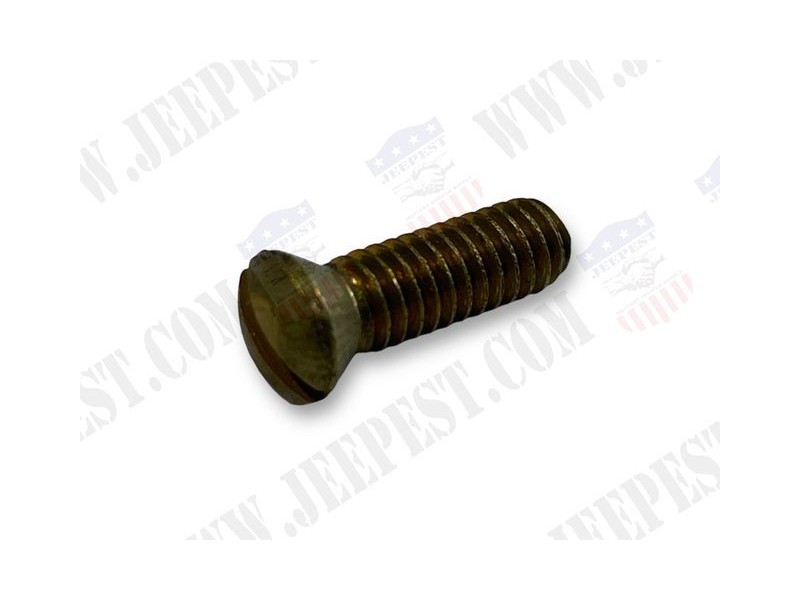 SCREW FIXING PUMP INJECTOR SOLEX CARB